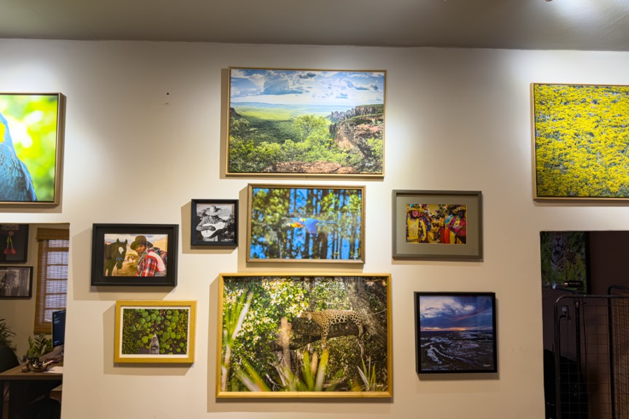 Parede com composição de quadros emoldurados